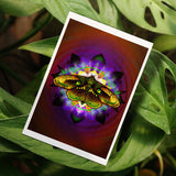 Moth Equilibrium - Fine Art Print