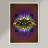 Moth Equilibrium - Fine Art Print