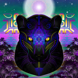 Panther's Grace - Fine Art Print