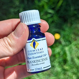 Frankincense Pure Essential Oil