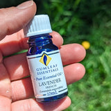 Lavender French Pure Essential Oil