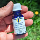 Ylang Ylang Pure Essential Oil