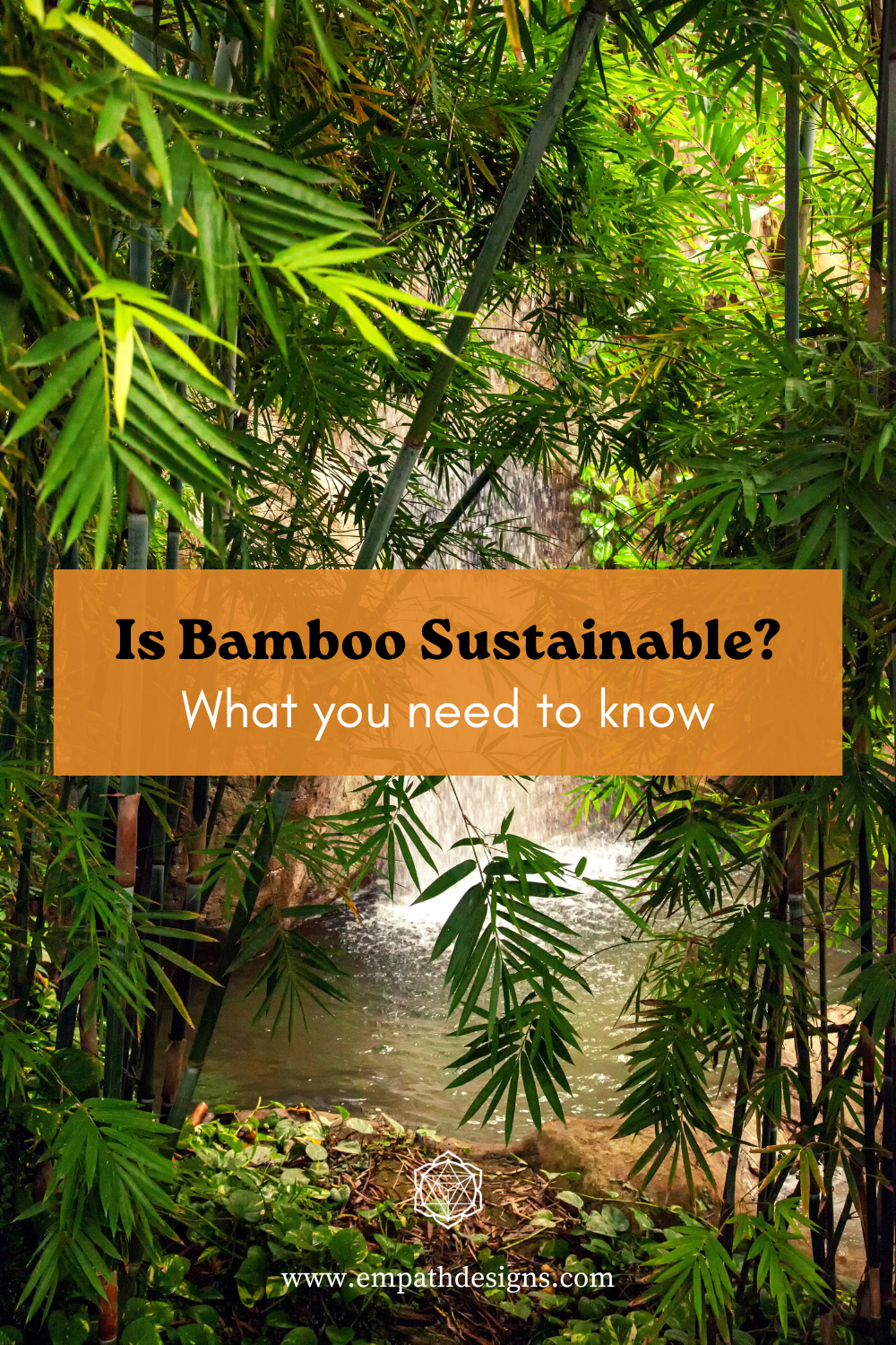 Bamboo and Sustainability: An Overview