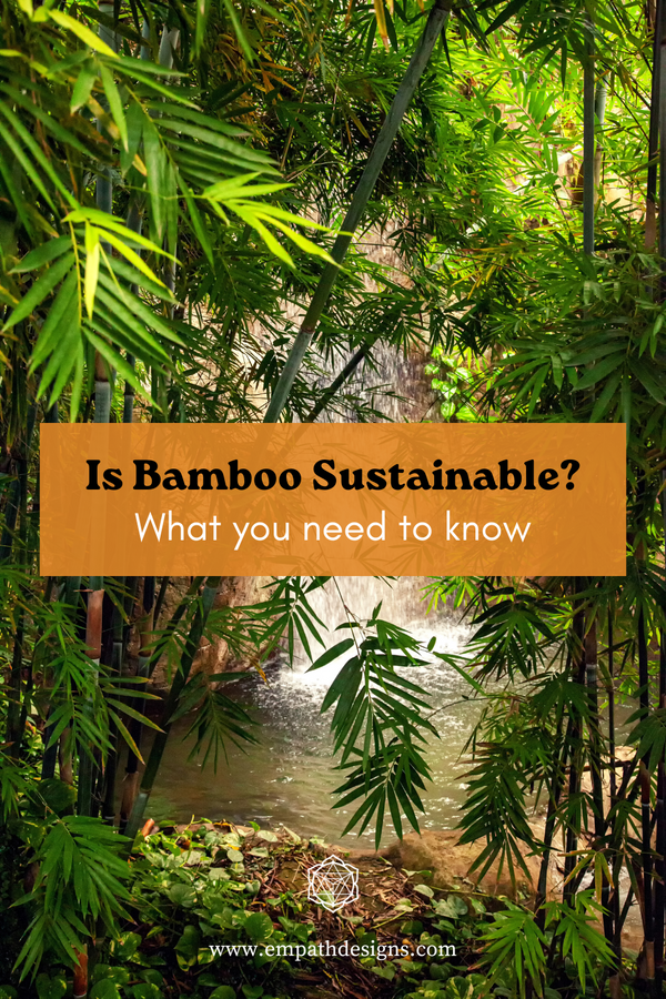 Is Bamboo Sustainable What You Need To Know Empath Designs   Bamboo Sustainable 600x 