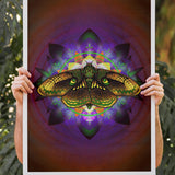 Moth Equilibrium - Fine Art Paper Print