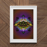 Moth Equilibrium - Fine Art Paper Print