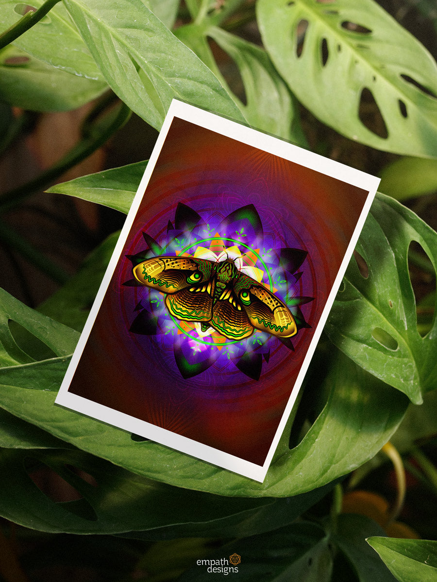 Moth Equilibrium - Fine Art Print
