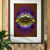 Moth Equilibrium - Fine Art Paper Print