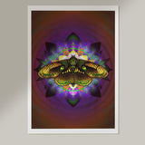 Moth Equilibrium - Fine Art Paper Print