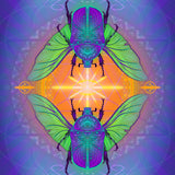 Scarab Connection Magnet