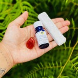 Connection Mini Meditation Kit