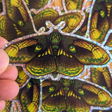 Moth Equilibrium Glitter Sticker