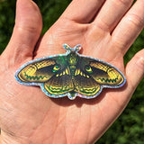 Moth Equilibrium Glitter Sticker