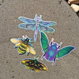 Mystical Insect Sticker Bundle