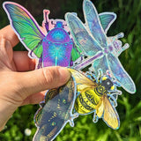 Mystical Insect Sticker Bundle