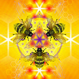 Bee-luminate Magnet