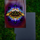 Moth Equilibrium Magnet