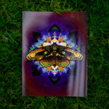Moth Equilibrium Magnet