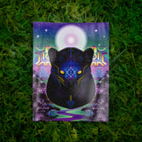 Panther's Grace Magnet