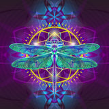 Dragonfly Magick - Fine Art Paper Print