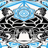 Hawksbill Turtle