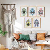 Animalis Collection