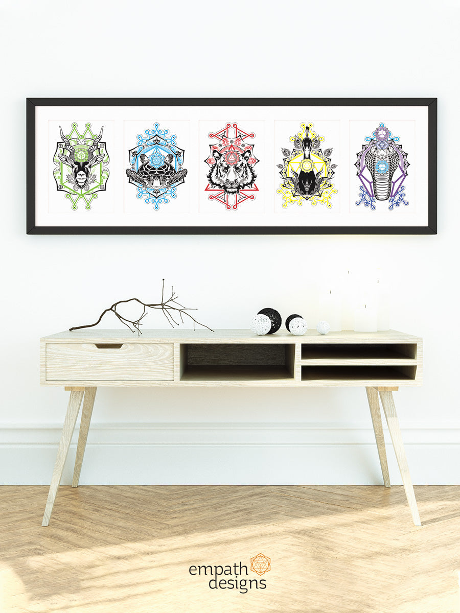 Animalis Collection