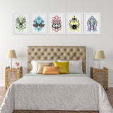 Animalis Collection