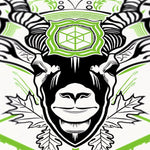 Blackbuck Antelope Prints Empath Designs 