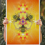 Bee-luminate - Fine Art Paper Print
