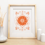 Perennial Harmony Collection