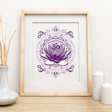 Perennial Harmony Collection