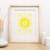 Perennial Harmony Collection