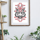 Animalis Collection